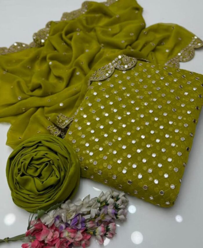 New Heavy Embroidery Full Heavy Jaal 09MM Back front Same With chiffon Cut work Heavy Border Dupatt - Image 3